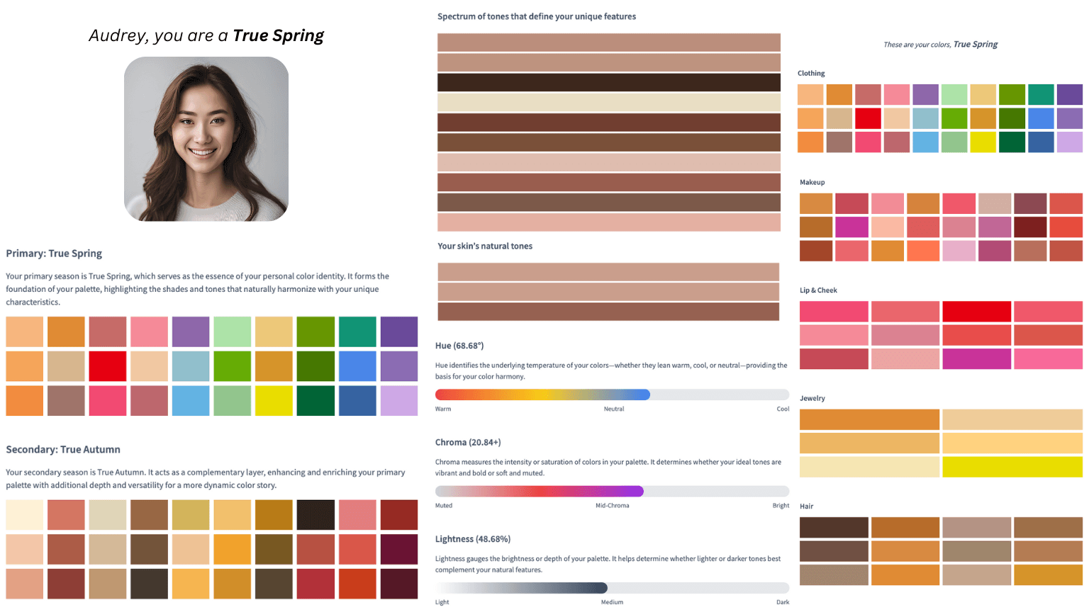 Screen of the color analysis process